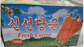 중국수입 당근서 잔류농약 기준초과…식약처, 회수조치