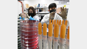 “식품안전 사수”…식약처, 새학기 마라맛 간식 집중점검