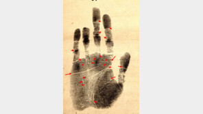 [단독]‘긴 탄식 한마디로 일본을 먼저 弔喪’…안중근 유묵, 115년 만에 고국 품으로 