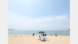 해수욕장서 길 묻던 60대 노인 무차별 폭행 20대, 구속 송치