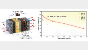한국공학대 박지은 교수팀, 차세대 일체형 재생연료전지 전극 개발