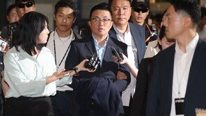 ‘김건희 집사’ 김예성, 15일 오후 2시 구속영장심사