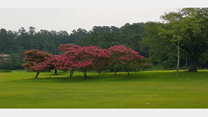 대통령 휴가지 ‘거제 ‘저도’, 16일부터 재개방