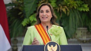 페루, 반군 소탕때 살인·성폭력 저지른 군경 사면 논란