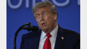 “무슨 말 하든 즉각 반응 말라”…美언론이 꼽은 트럼프 공략법