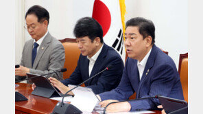 與, 배임죄 등 ‘경제형벌’ 줄이고 민사책임 강화 추진