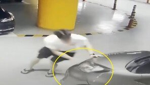 “손목-다리 받혔는데 뺑소니 아니라니” 경찰 판단 논란 [e글e글]