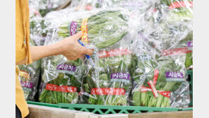 7월 폭염·폭우에 생산자물가 급등…시금치 172%-배추 52%↑