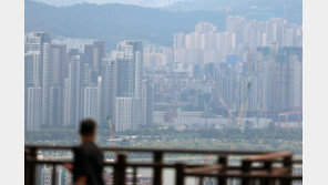 실거주 안하는 외국인, 서울에 집 못산다… ‘외국인 토허제’ 도입