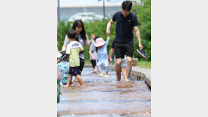 [고양이 눈]“하나 둘 셋!”