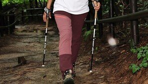 “노르딕워킹 시작 1년도 안 돼 20㎏ 줄었어요”[양종구의 100세 시대 건강법]