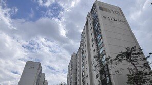 개포우성7차 재건축 시공사 선정 D-1… 삼성물산·대우건설 맞대결