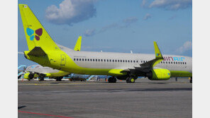 이륙뒤 조류충돌…156명 탄 진에어 인천공항 긴급회항