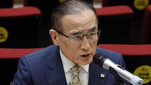 위성락 “한미 동맹, 통상-안보 새로운 도전 직면”