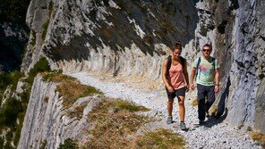 인간의 흥망성쇠서 중요한 소재 ‘나무’…그 역할을 짚어본 책 ‘나무의 시대’ [책의 향기]