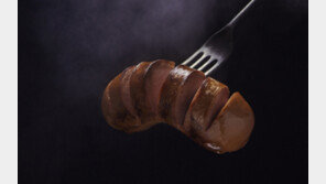 뇌 건강에 가장 나쁜 초가공식품? “가공육과 탄산음료”  