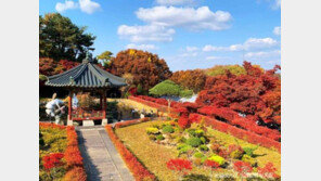 올가을 단풍여행, 단돈 3만9000원에 기차 타고 떠난다