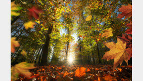 등산객 3000만 시대…가을 산행 ‘3대 사고 주의사항’은?