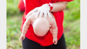 추석에 떡 급히 삼키다…5년간 1290명 응급실行, 84%는 노인