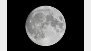 추석 보름달 못 봤어도 괜찮다…7·8일 밤엔 ‘슈퍼문’ 뜬다