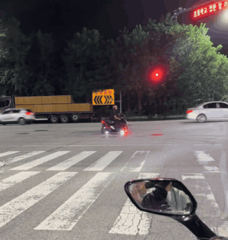 “어차피 촉법소년이라 괜찮다?”…놀이처럼 번지는 10대 범죄