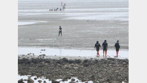 태안서 해루질 70대女 실종, 16시간만에 발견…끝내사망