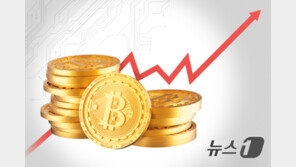 비트코인, ‘사상 최고가’ 12만 5000달러 돌파