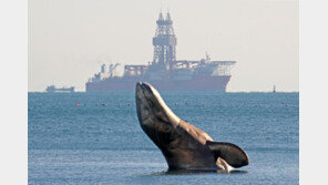 ‘동해 가스전 개발’ 해외 투자기업, 추석연휴 직후 결정된다