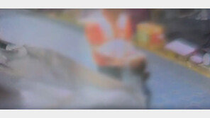 시장서 2세 여아 납치 시도한 60대 남성 체포