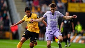 ‘황희찬 60분’ 울버햄튼, 브라이턴과 비겨…EPL 7경기 무승