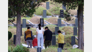 성묘·벌초후 고열 나고 피부엔 검은 딱지…‘이 질환’ 의심
