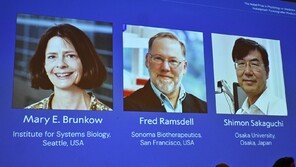 노벨 생리의학상에 매리 브랑코, 프레드 람스델, 사카구치 시몬
