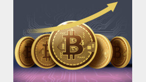 비트코인도 금도 사상 최고가…“에브리씽 랠리 지속”