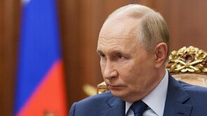 러시아 “경주 APEC에 대표단 파견”…푸틴은 못와