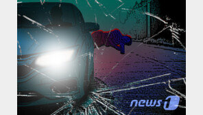 뺑소니, 최근 5년간 연평균 7000건…작년 1위 지역은 인천