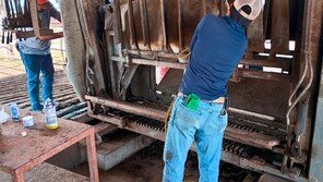 美 접경지 멕시코 북부서 ‘살 파먹는 구더기’ 감염 확인