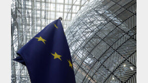 “EU, 사보타주 증가에 러 외교관 역내 여행제한 합의”