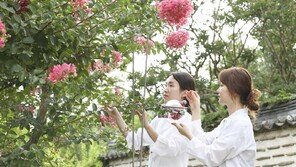 ‘창경궁의 앵도-덕수궁의 오얏’ 조선 왕실의 향기 담은 ‘단미르 궁궐 향수’ 출시