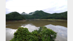 “가뭄 끝, 강릉 물길 돌아왔다”…오봉저수지 저수율 90%