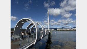 닭강정·막국수·감자빵…연휴 엿새째 강원 관광지·축제장 ‘북적’