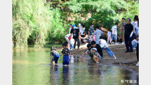 한로에 반짝 햇살… 동해안-호남 오늘 다시 비