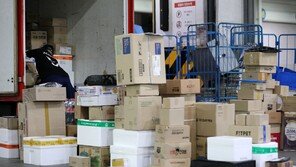 쿠팡·카카오 등 13곳, 육로 연결된 섬에도 추가배송비 물렸다