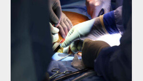 中, 돼지 간(肝) 사람이식 첫 성공…38일간 유지