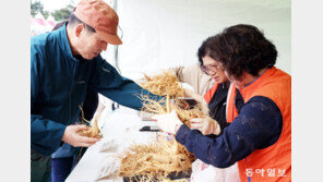 ‘파주개성인삼축제’ 18, 19일 임진각서 열려