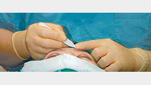 명절에 성형외과 찾는 2030… “추석 직전 병의원 매출 7% 증가”