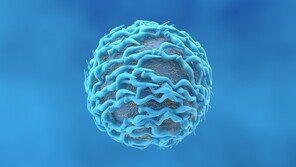 노벨 생리의학상 주인공 ‘T세포’… 비만-관절 류머티즘 치료 희망되나