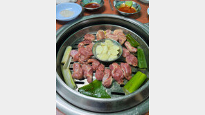 ‘어두육미’ 통설 뒤집은 뽈살… 짙은 불향에 착한 가격은 덤[김도언의 너희가 노포를 아느냐]