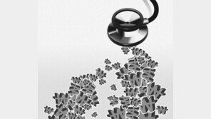 [단독]중증 서민 지원 ‘재난적 의료비’, 탈모-개물림 치료에 써