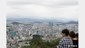 들썩이는 집값에 추가규제 임박… DSR 40%→35% 강화 검토