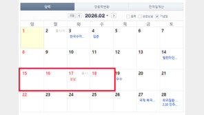 내년 설도 황금연휴…연차 사용하면 9일 쉰다